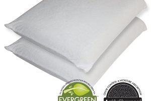 Sleep Master Memory Foam Traditional Pillow Review